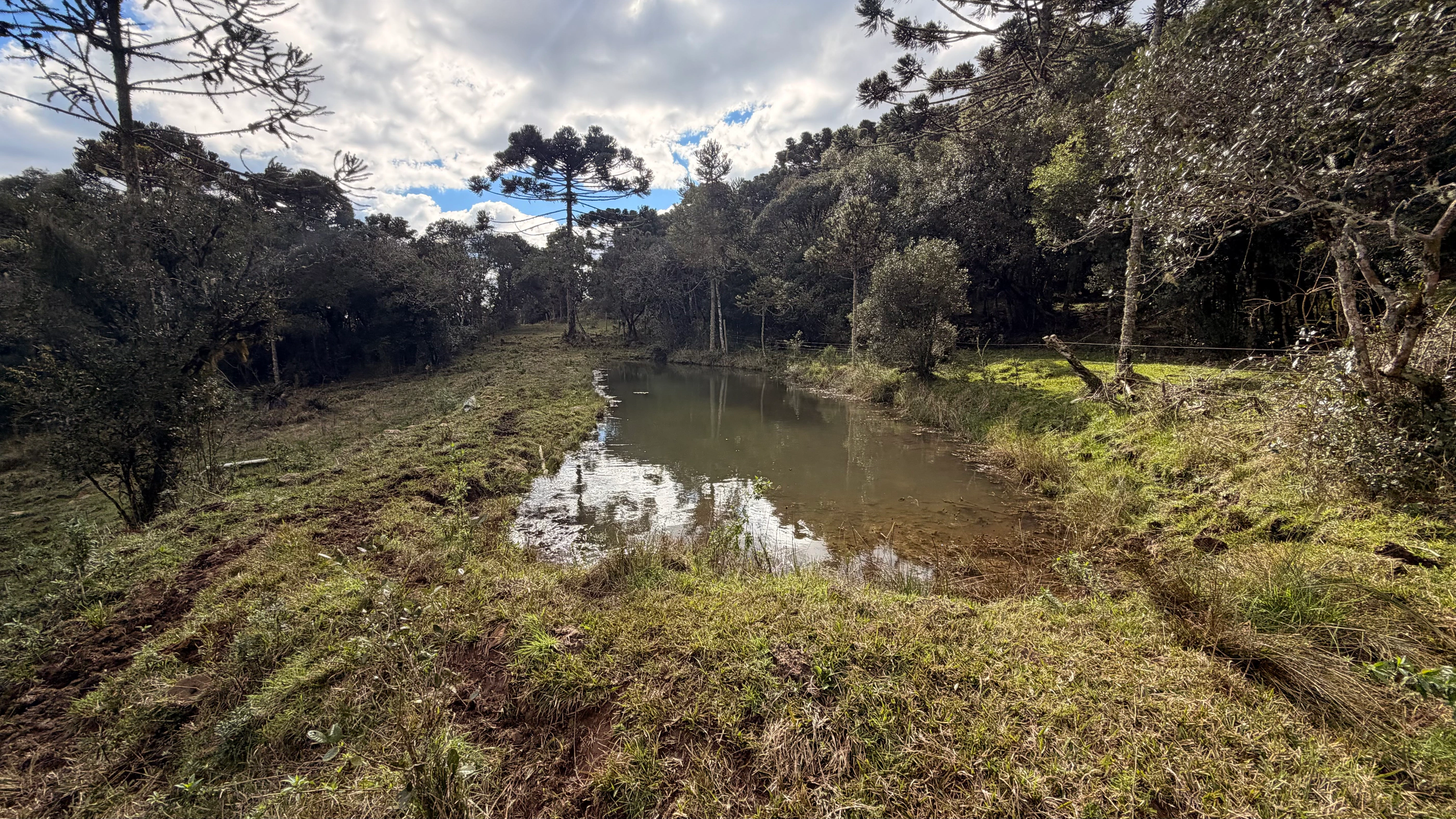 Sítio com 31,3 ha em Painel — SC — foto 4