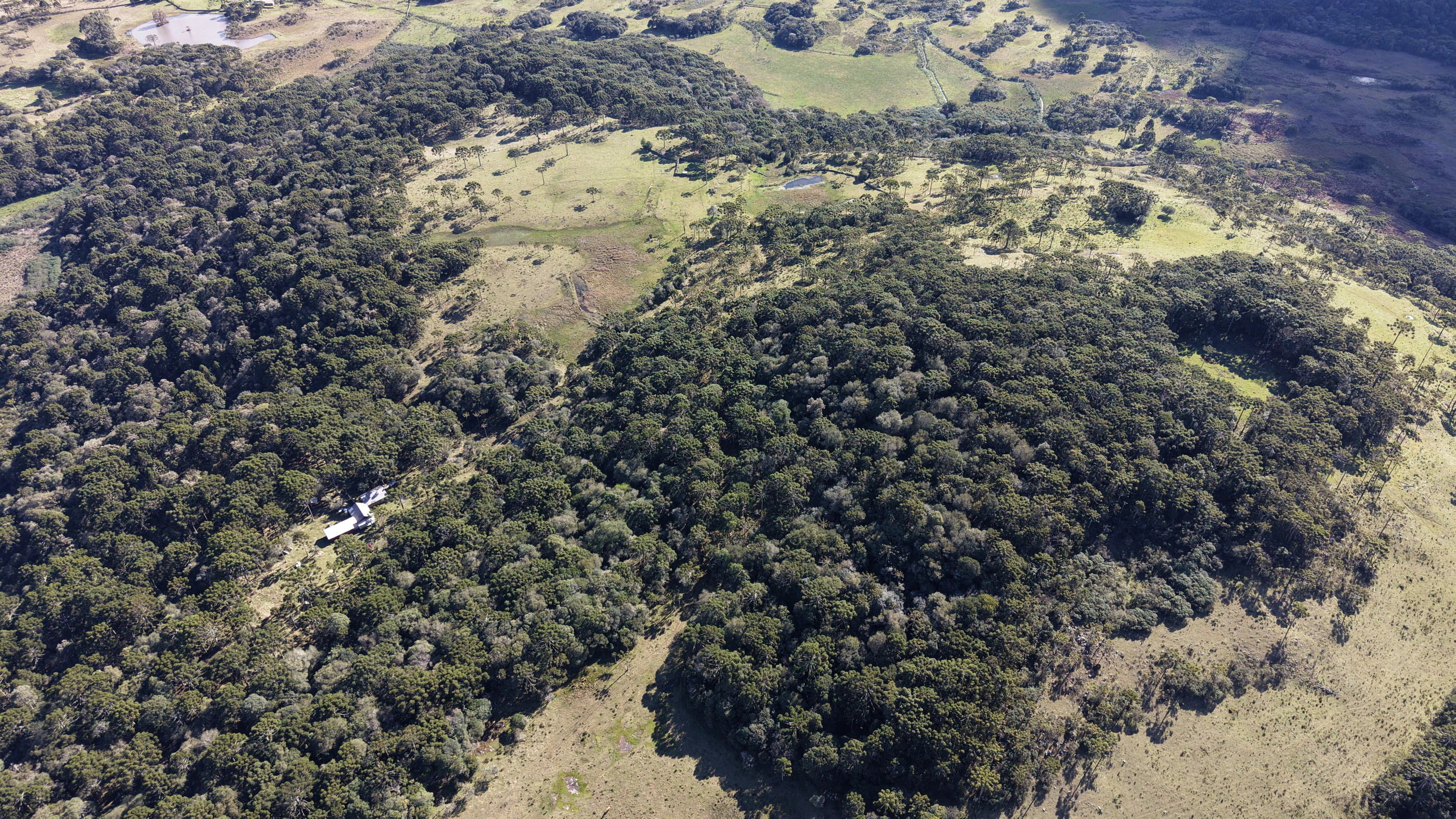 Sítio com 31,3 ha em Painel — SC — foto 6