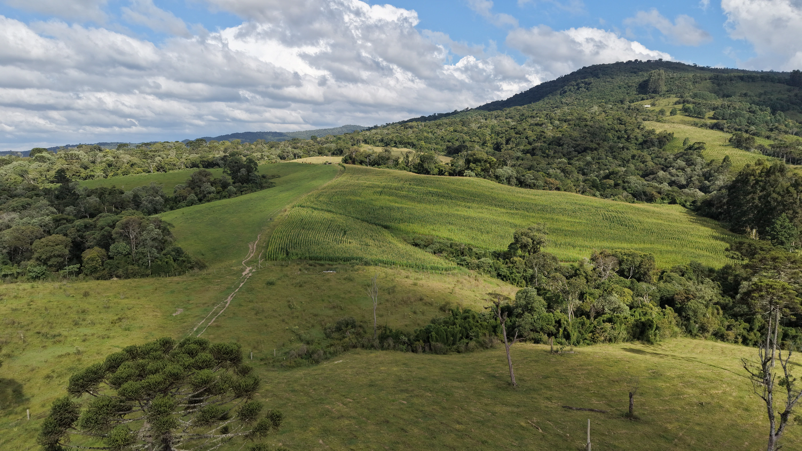 Fazenda com 60,7 ha em Bocaína do Sul — SC — foto 3