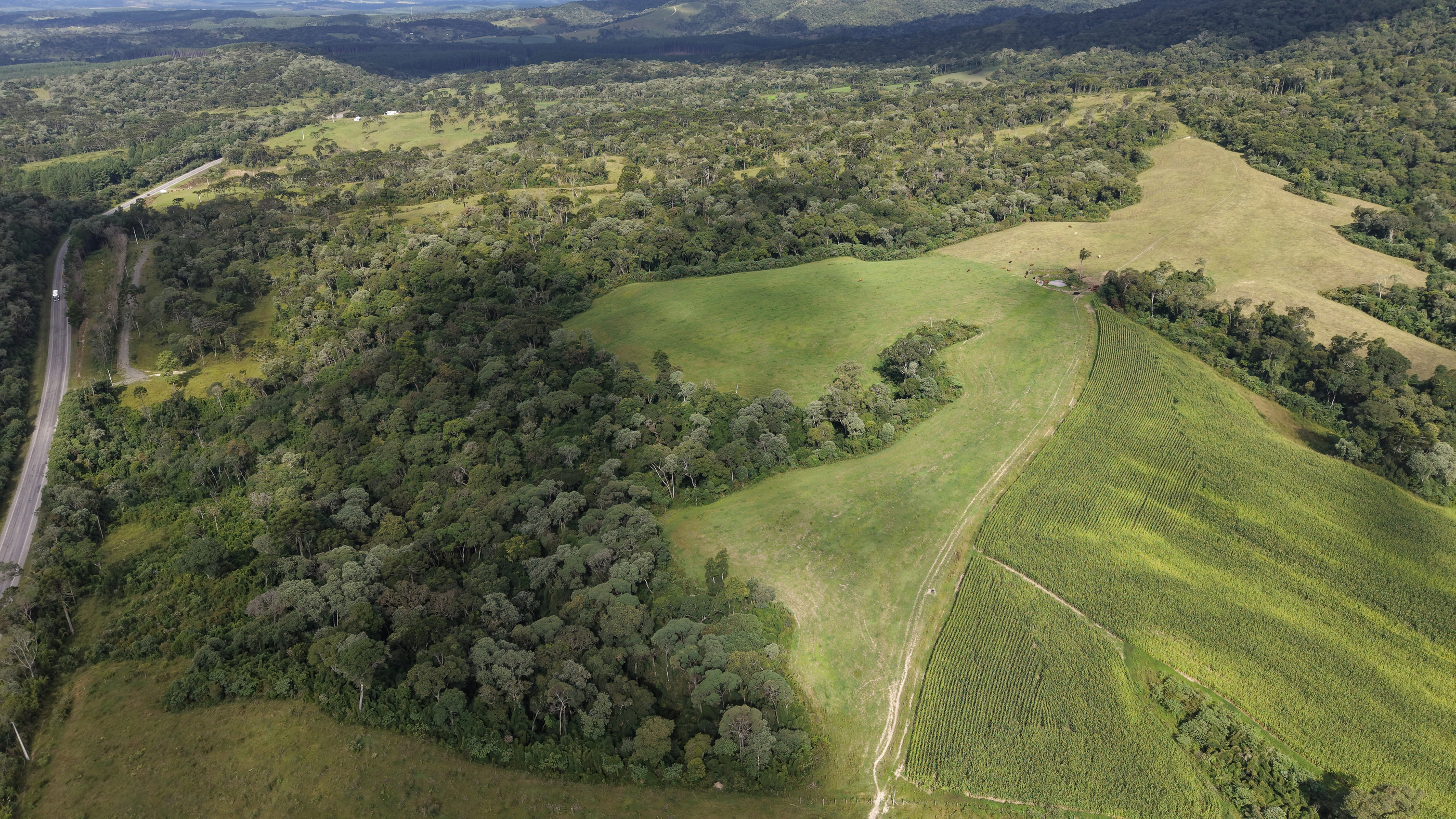 Fazenda com 60,7 ha em Bocaína do Sul — SC — foto 4