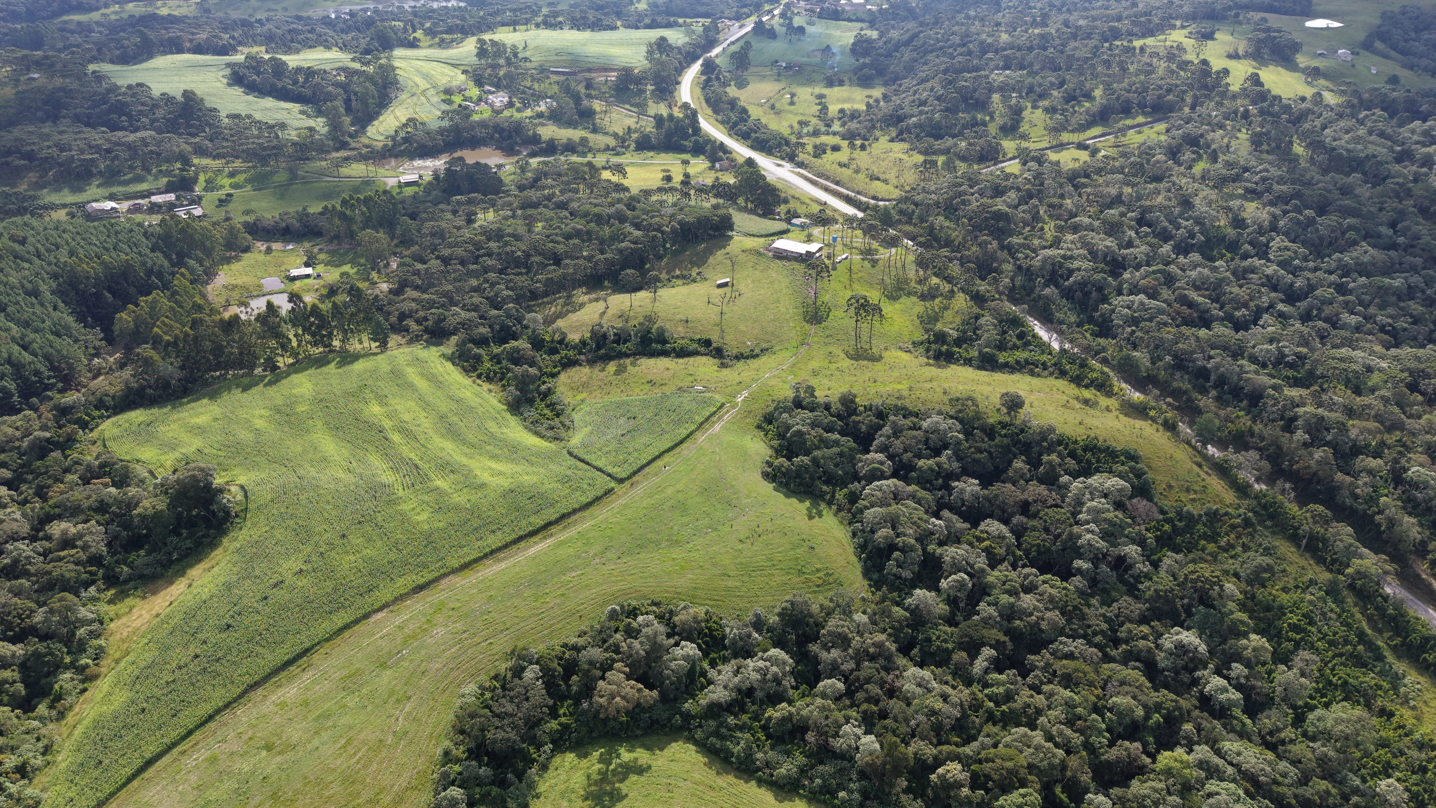 Fazenda com 60,7 ha em Bocaína do Sul — SC — foto 5