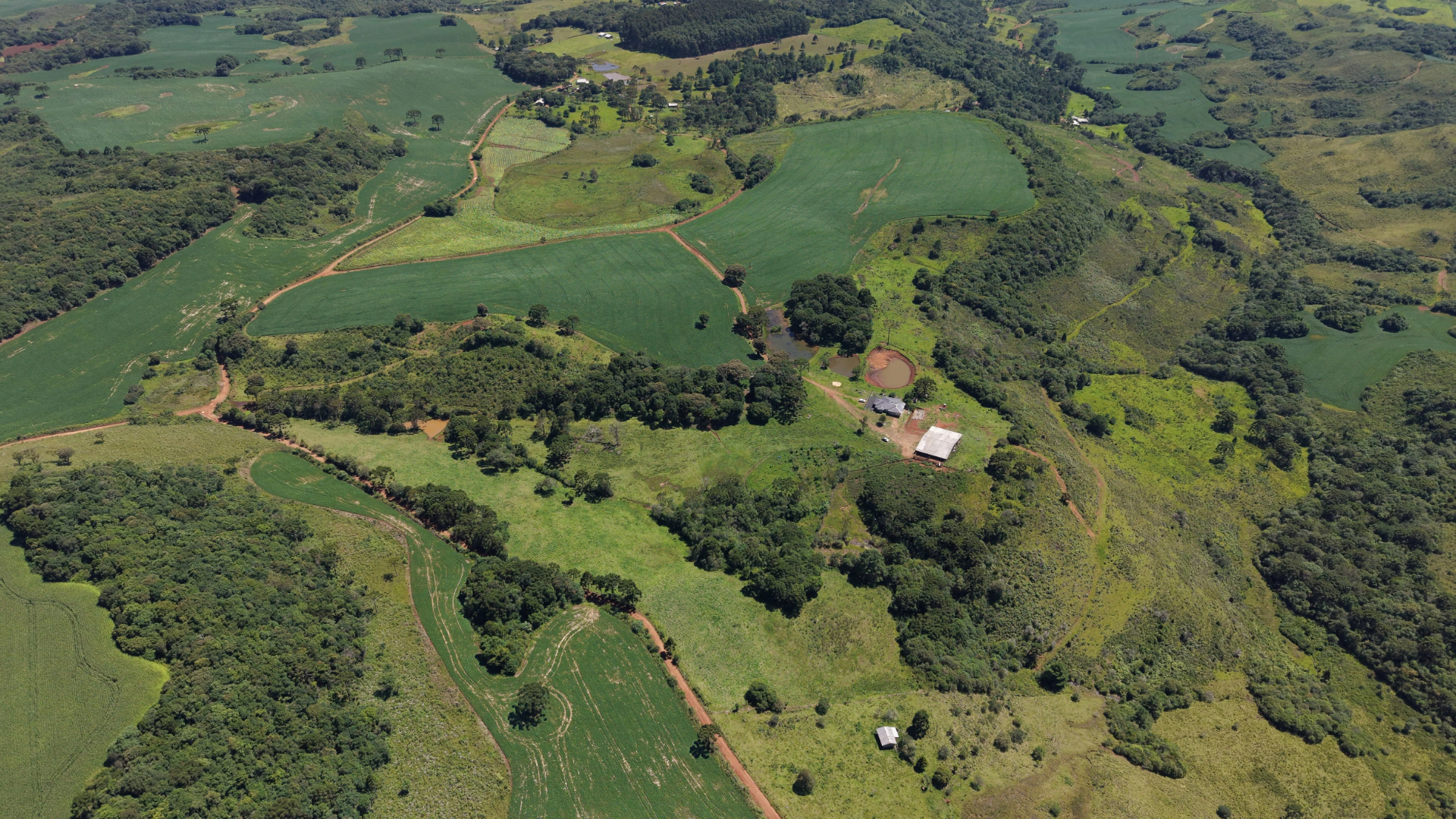 Fazenda com 120 ha em Campo Belo do Sul — SC — foto 3