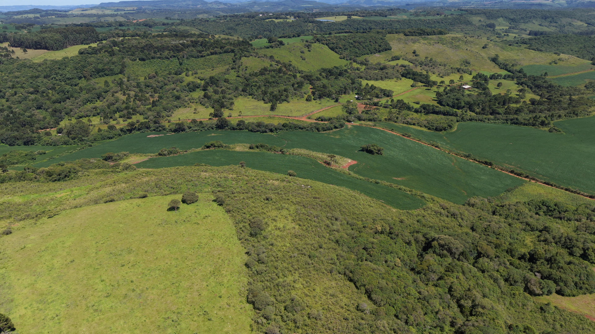 Fazenda com 120 ha em Campo Belo do Sul — SC — foto 4
