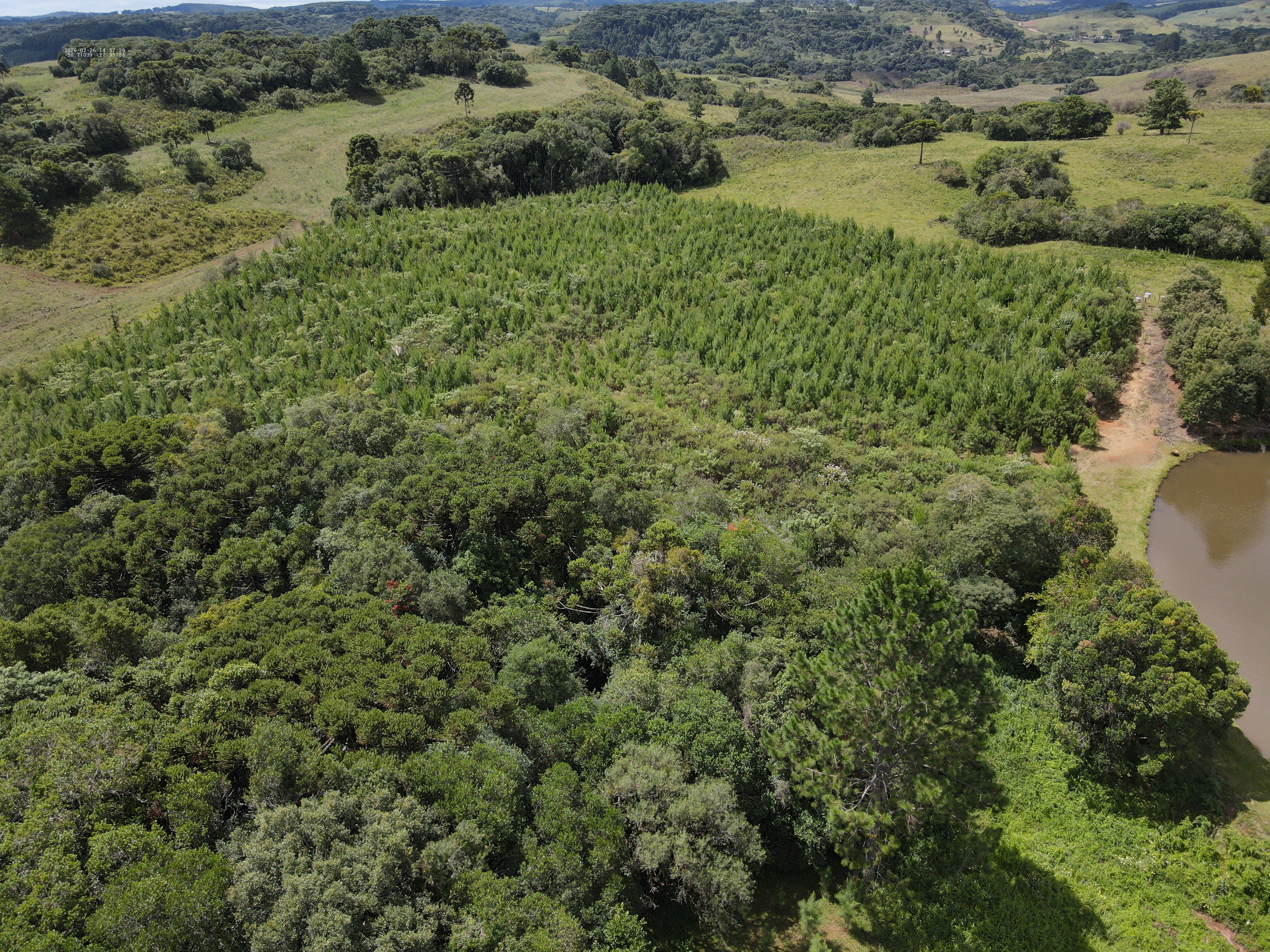 Sítio com 7,9 ha em Campo Belo do Sul — SC — foto 4