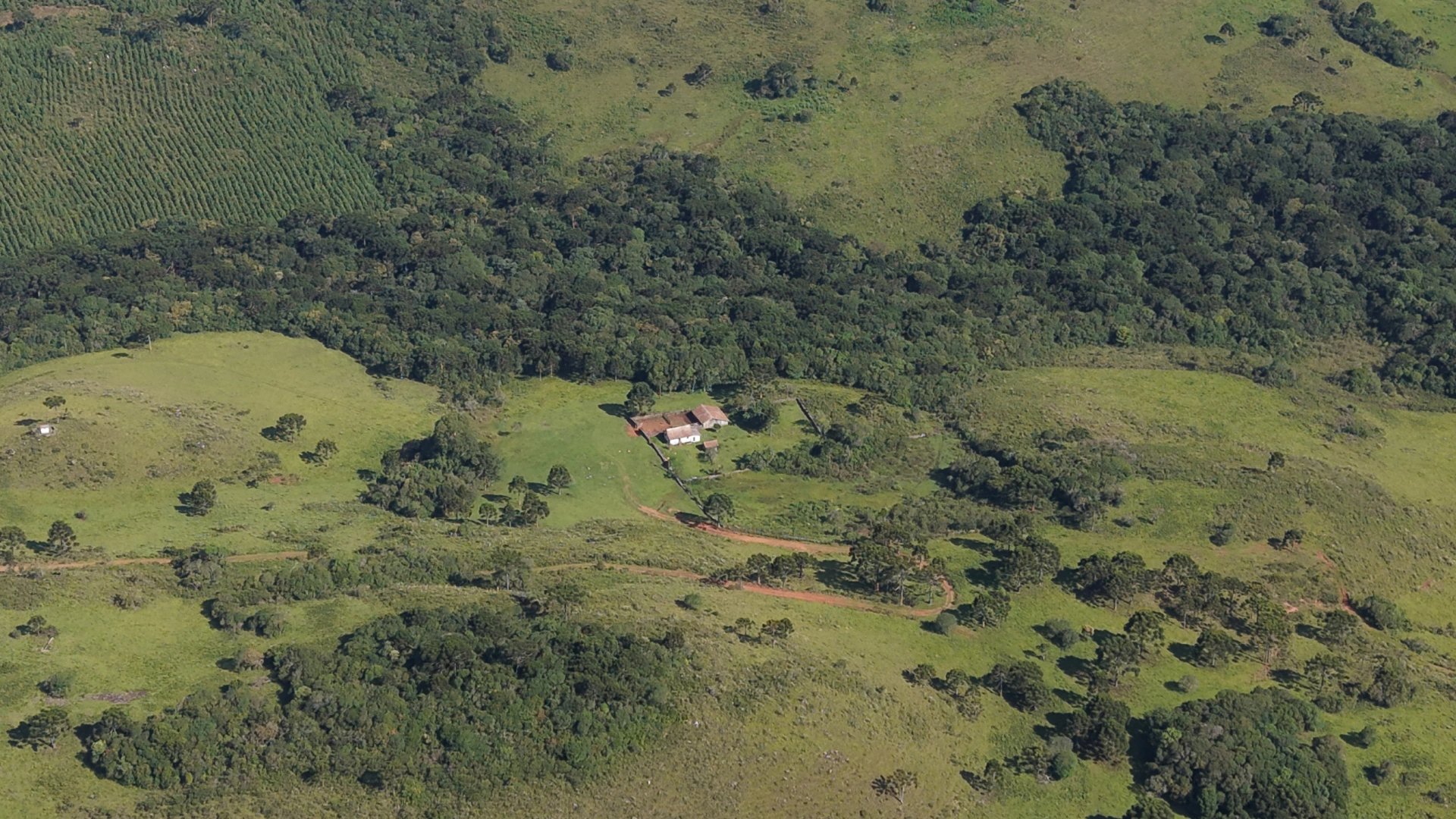 Fazenda com 236 ha em Capão Alto — SC — foto 4