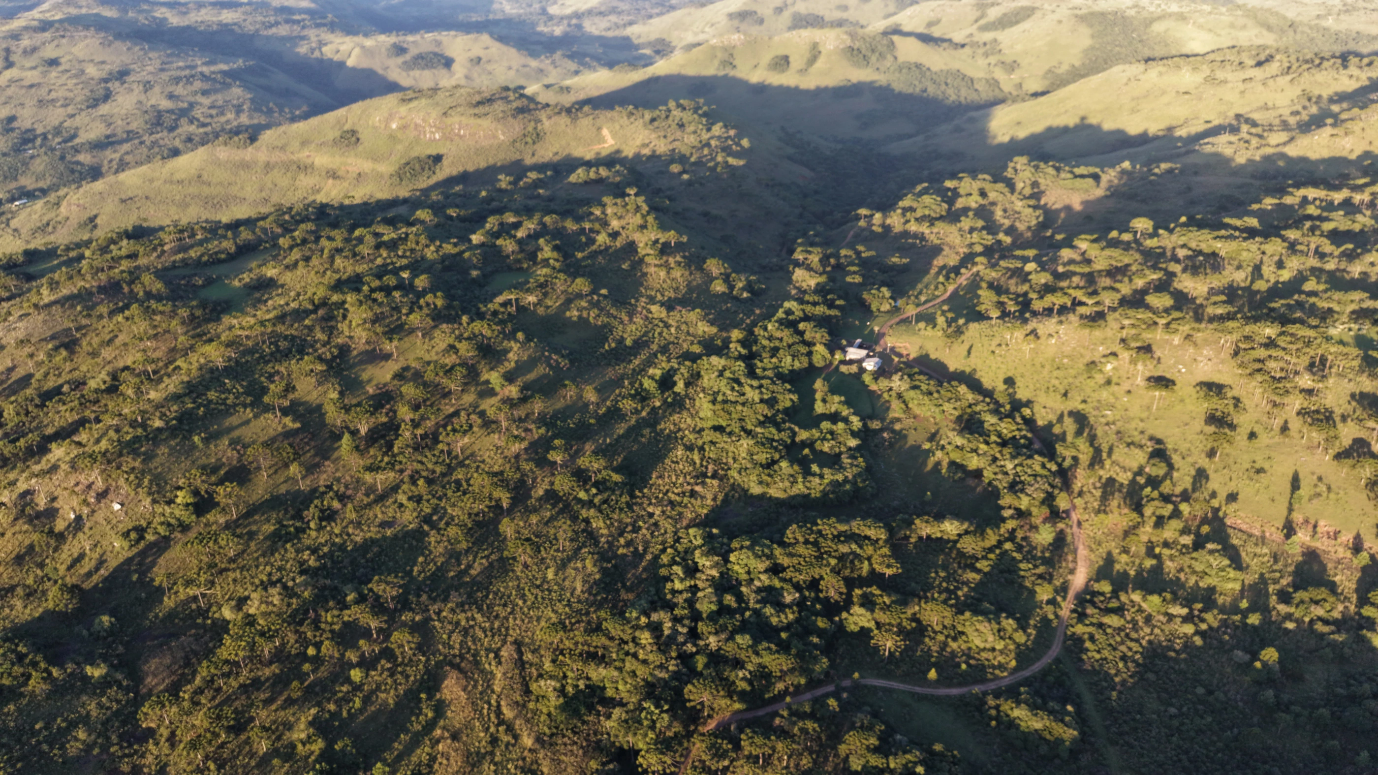Área de terra com 132 ha em São Joaquim — SC