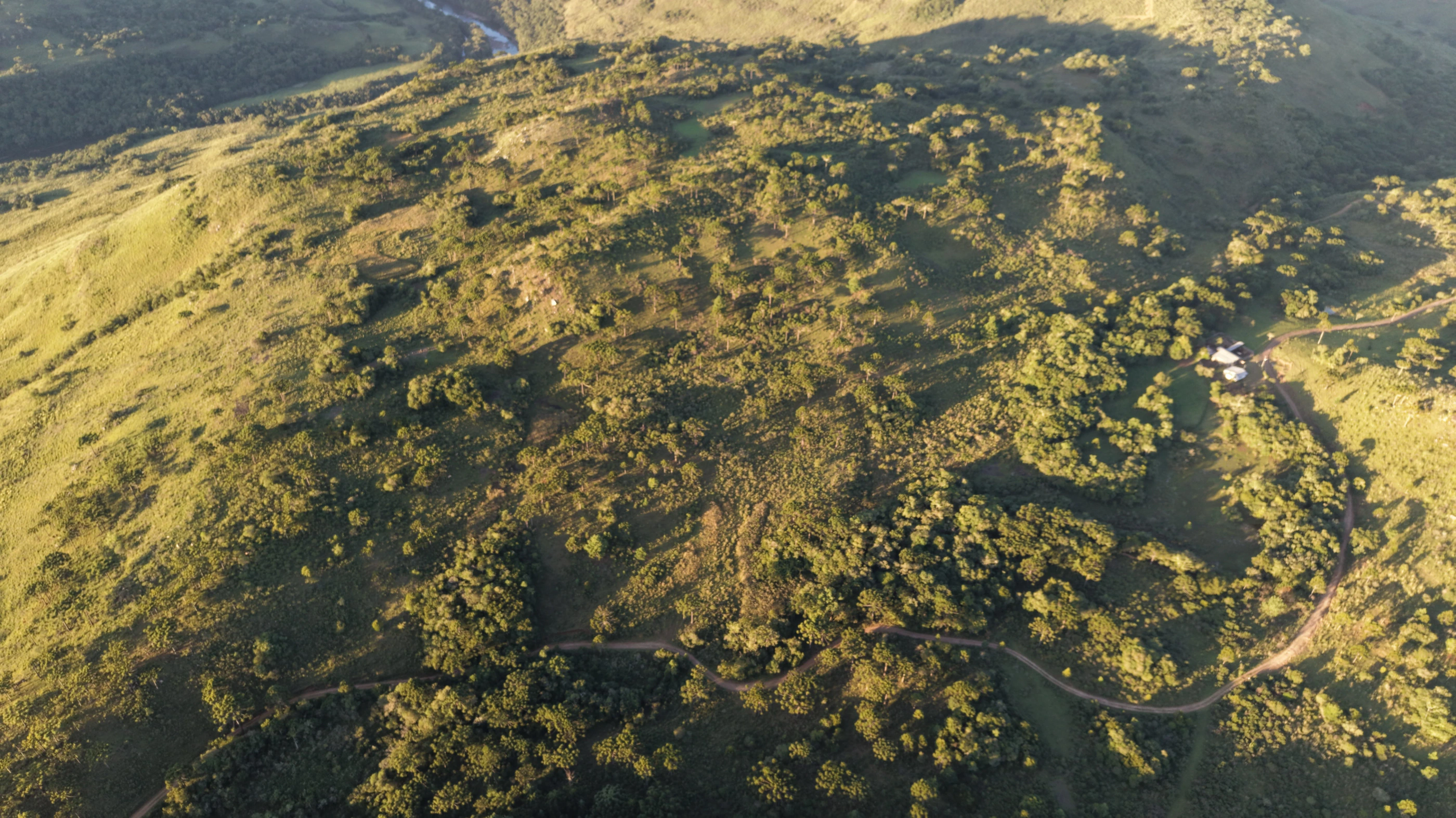 Área de terra com 132 ha em São Joaquim — SC — foto 2