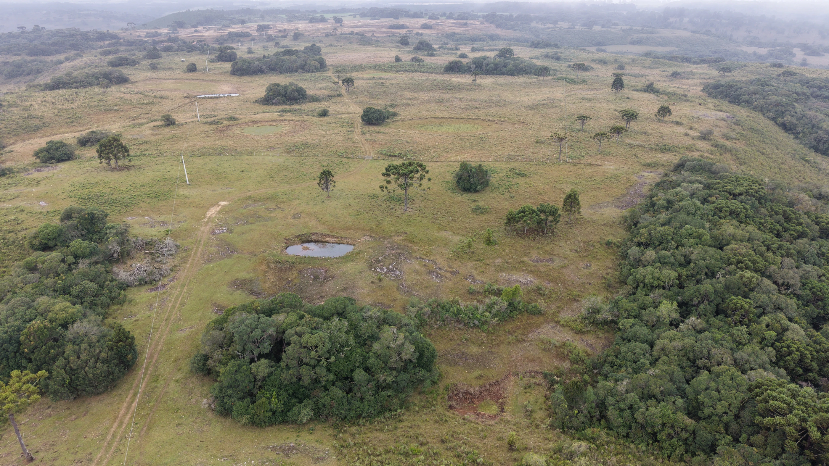 Área de terra com 100 ha em Capão Alto — SC