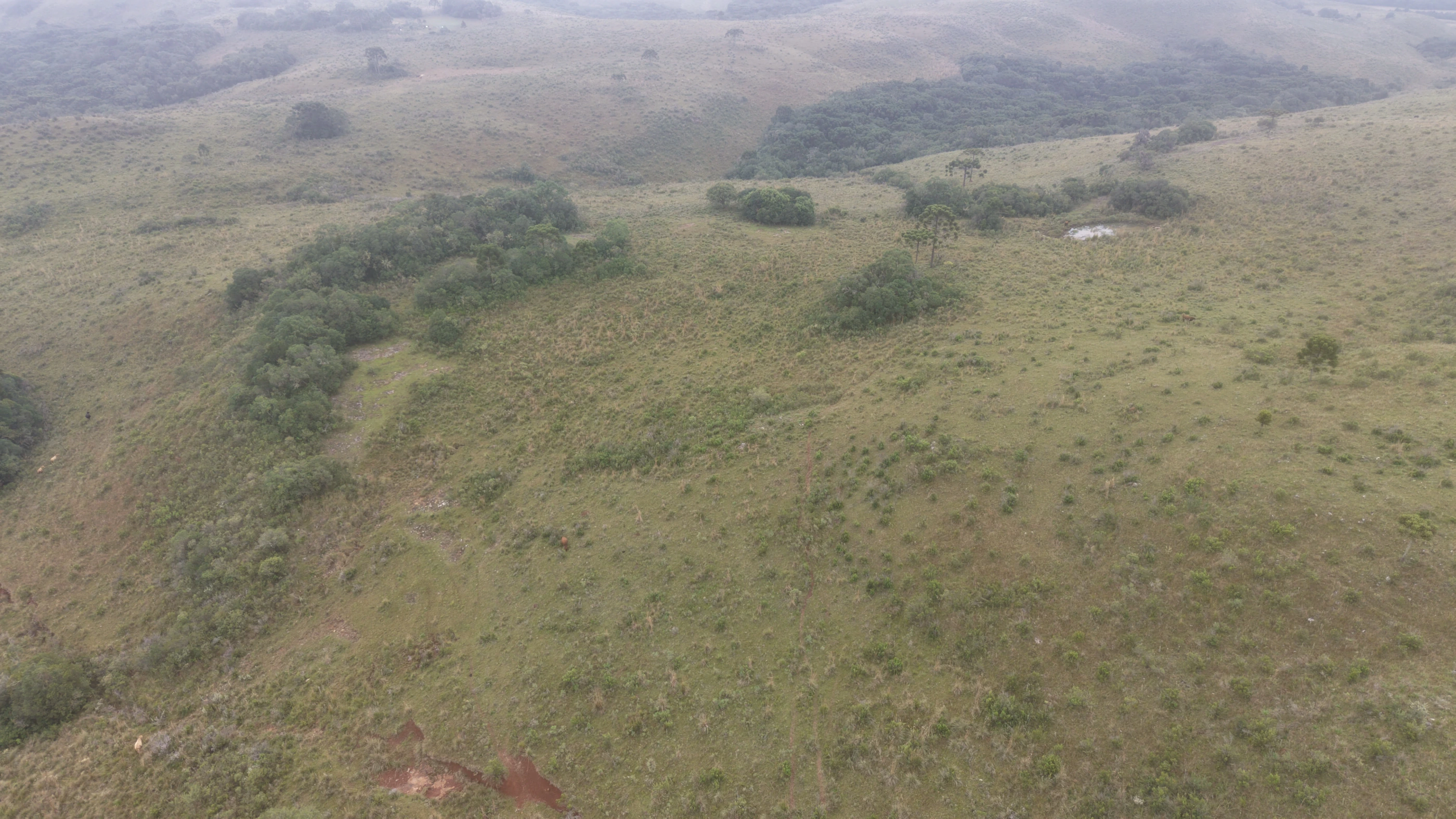 Área de terra com 100 ha em Capão Alto — SC — foto 2