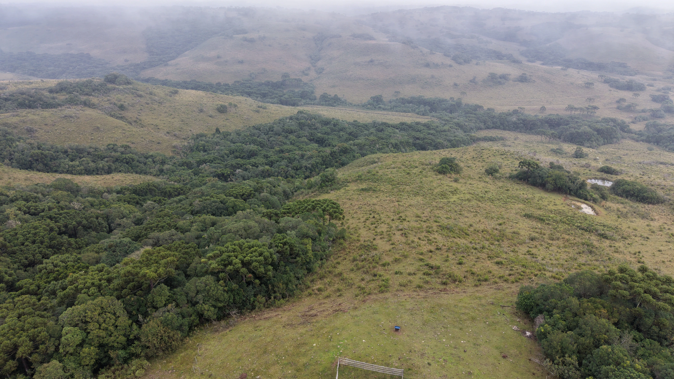 Área de terra com 100 ha em Capão Alto — SC — foto 6